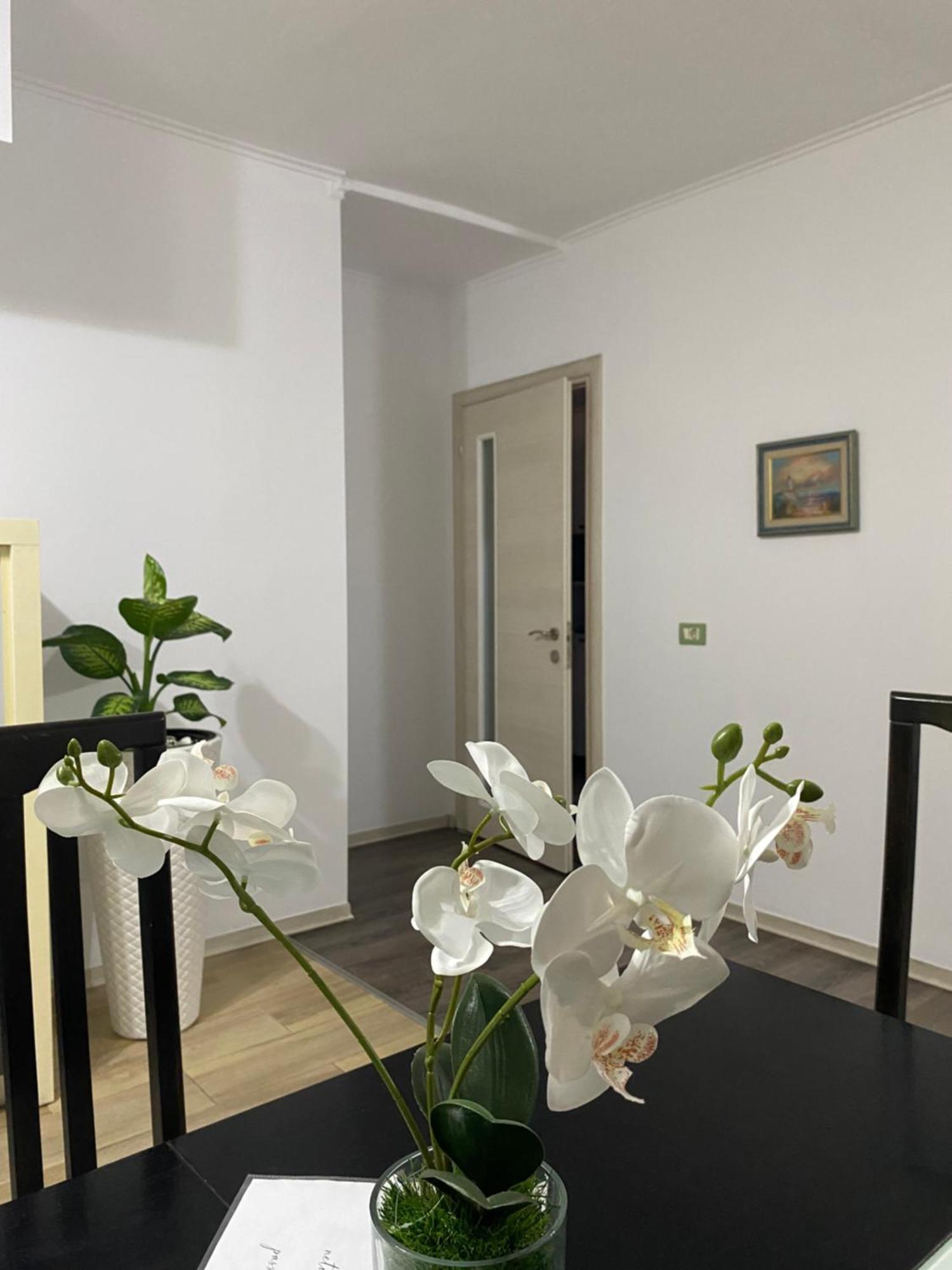 Main Apartment Tirana Exterior foto